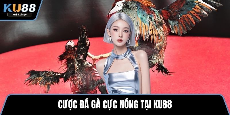 Ku88 mostyn - Sòng Bạc Trực Tuyến Uy Tín T12/2026 14 Cược đá gà cực nóng tại Ku88