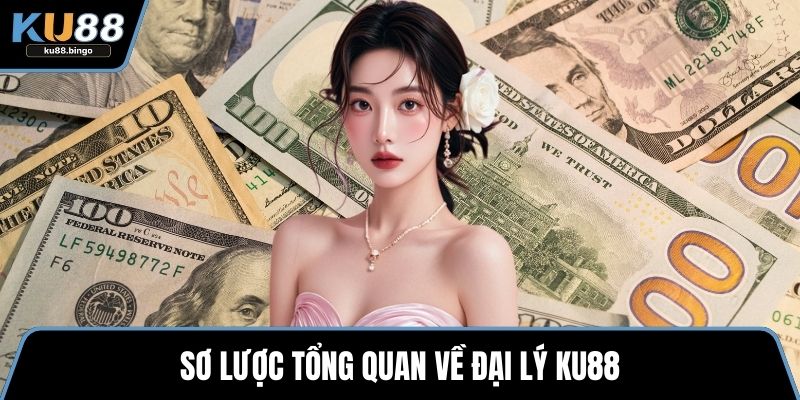 Sơ lược tổng quan về đại lý KU88
